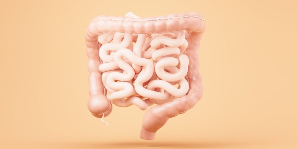 222716888_m_normal_none