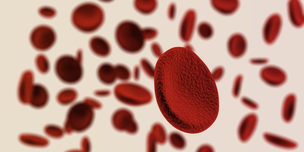 42151350_m_normal_none